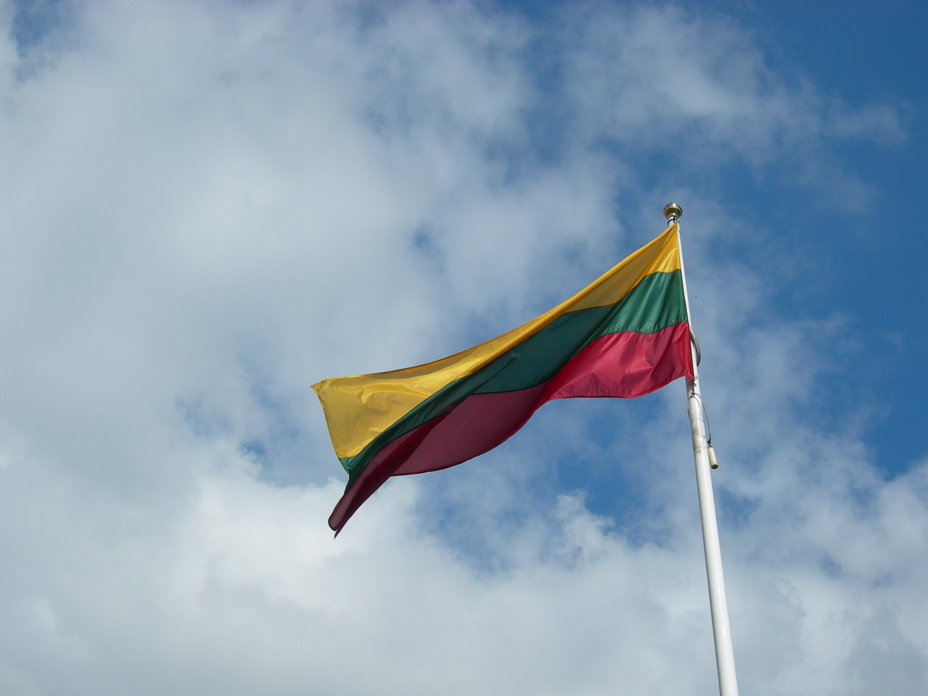 Lithuania to raise money from sale and loan 