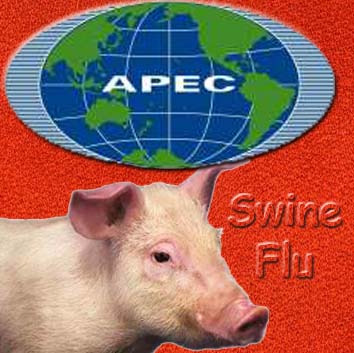 Swine Flu