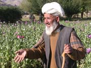 Afghan farmers selling their daughters to ward off opium debts