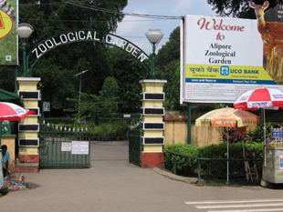 For West Bengal there’s a new zoo authority