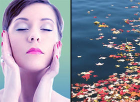 Allergy sufferers should fortify themselves in autumn Allergy sufferers should fortify themselves in autumn