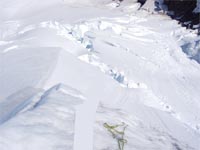 Alpine ice man was bludgeoned and then shot, German experts say