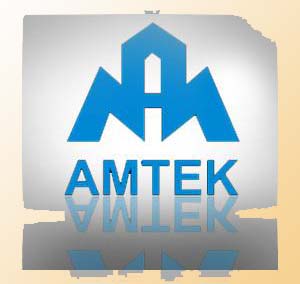 Buy Amtek Auto For Target Rs 197