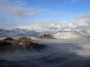 Ancient Moss, Insects Found In Antarctica 