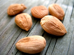 Apricot kernels can act as remedy for cancer