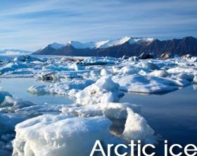 Arctic ice to last until 2030 to 2040