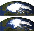 Arctic ice melt in 2008 has been ‘fascinating’ and ‘alarming’, say scientists
