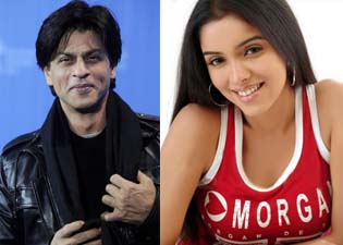 Asin, Shahrukh Khan