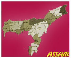 Shutdown paralyses normal life in Assam''s Nalbari district