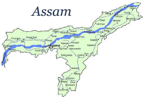 Ten people killed in separate incidents in Assam