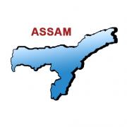 Army colonel, jawan killed in Assam blast