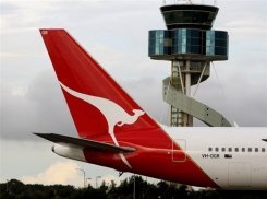  4 baby Stimson''s pythons ground Qantas plane in Melbourne