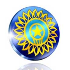 Logo Bcci