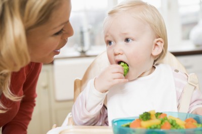 Obesity Risk in Adulthood may be cut due to later introduction of Baby Foods