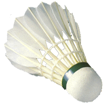 Bird flu affects badminton