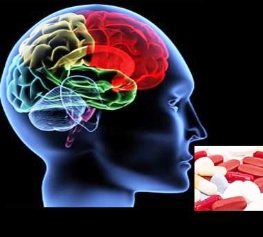 Brain-B3