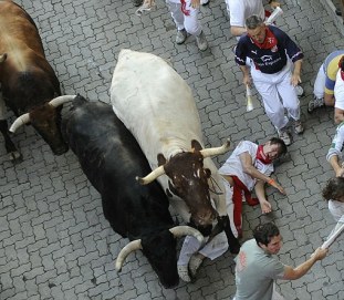 Bull runs in Spain leaves seven injured