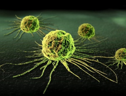 Cancer-Cell