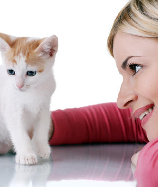 Cat-owners