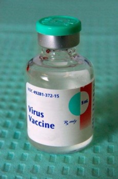 Glaxo Cervical Cancer