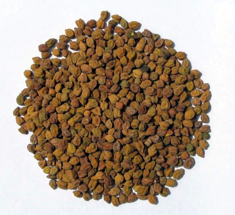 Chana 