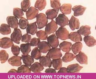 Commodity Trading Tips for Chana by KediaCommodity