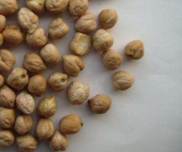 Commodity Outlook for Chana by KediaCommodity