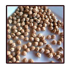 Chana