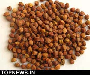 Chana