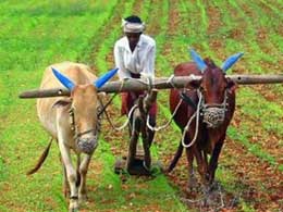Chhattisgarh-farmers