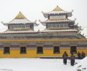 Exiled Tibetans blame china for self-immolations in their homeland 