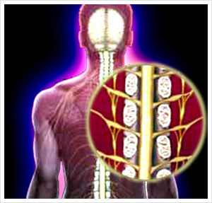 Stem cells to be used for treating chronic spinal injury