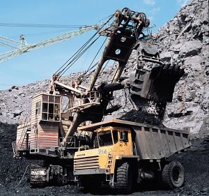 Coal