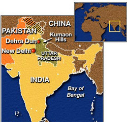 Cold waves in northern India claim 204 lives