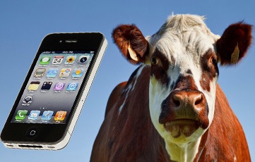Britain's craziest mobile phone insurance claims listed by website mobileinsurance