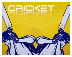 UK twin brothers banned for life for skullduggery in league cricket match