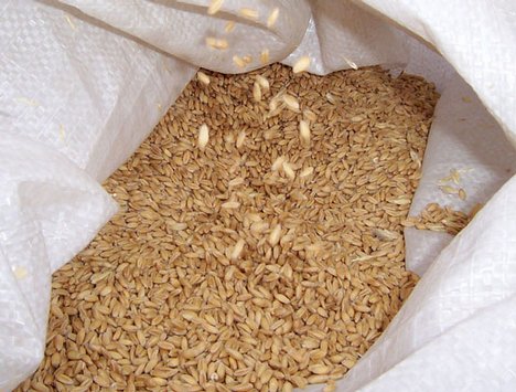 Croatian farmers protest over prices of wheat