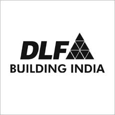 Haryana came into action with meanness to support DLF
