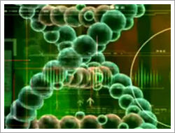 Scientists discover world’s oldest known DNA