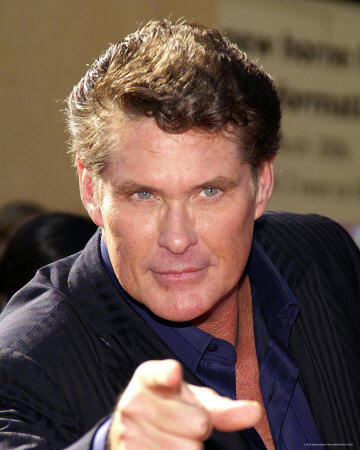 David Hasselhoff looking for true love