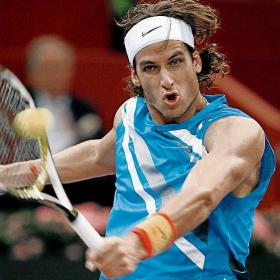 David Ferrer