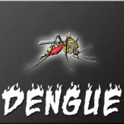 Delhi Reports 2 New Dengue Cases