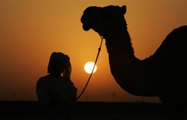 Dubai claims to have world''s first cloned camel