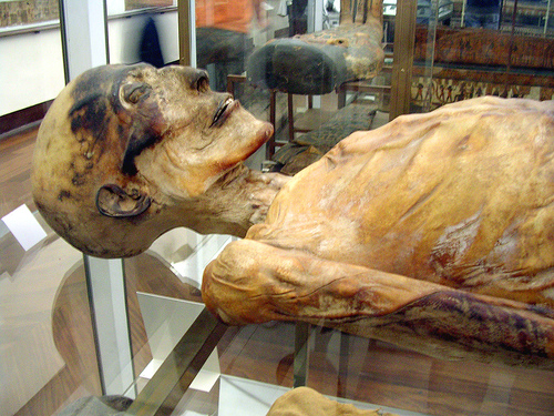 pictures of egyptian mummies