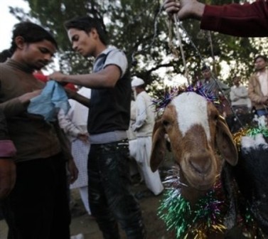 Delhi celebrates Eid-ul-Zuha