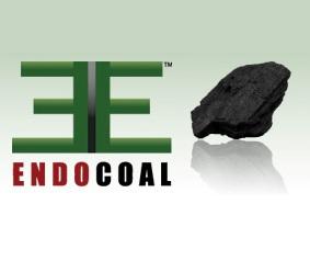 Endocoal-Logo