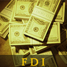 Indian economy enjoys 35% jump in FDI inflows in first half of 2013