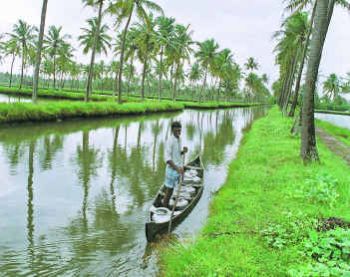 http://www.topnews.in/files/Farm-tourism-kerala.jpg