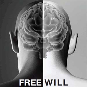 ‘Free will’ spot found in brain