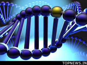 Gene linked to narcolepsy identified